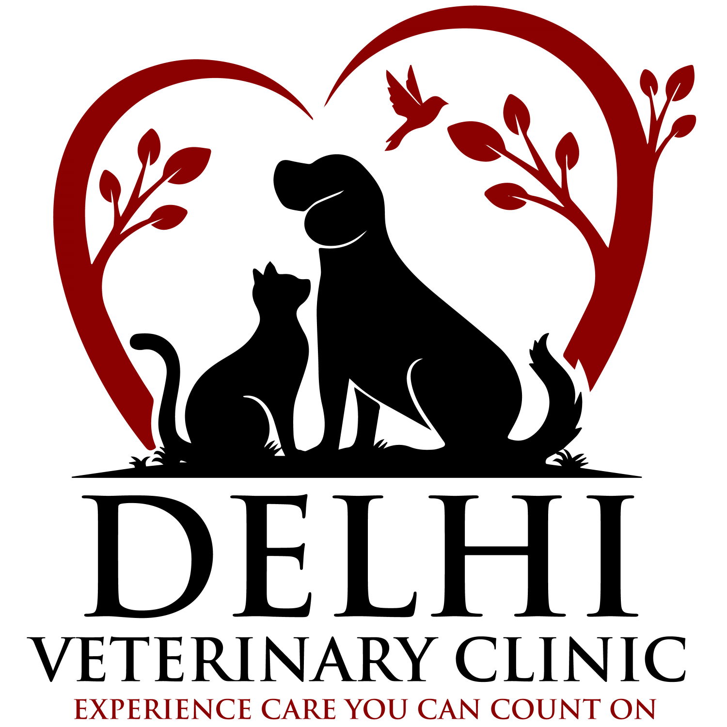 Delhi Veterinary Clinic Logo