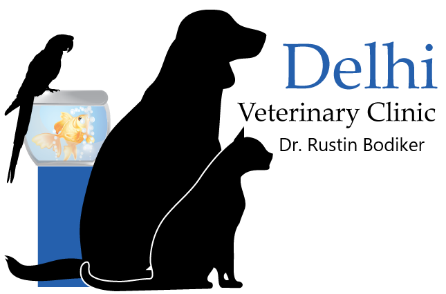 Delhi Veterinary Clinic Logo